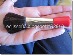 IMG_4253 IMG_4253