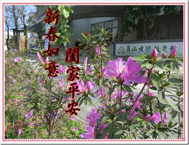 新春如意 新春如意