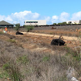 IMG_3980.JPG