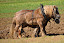 DSC_0044.JPG