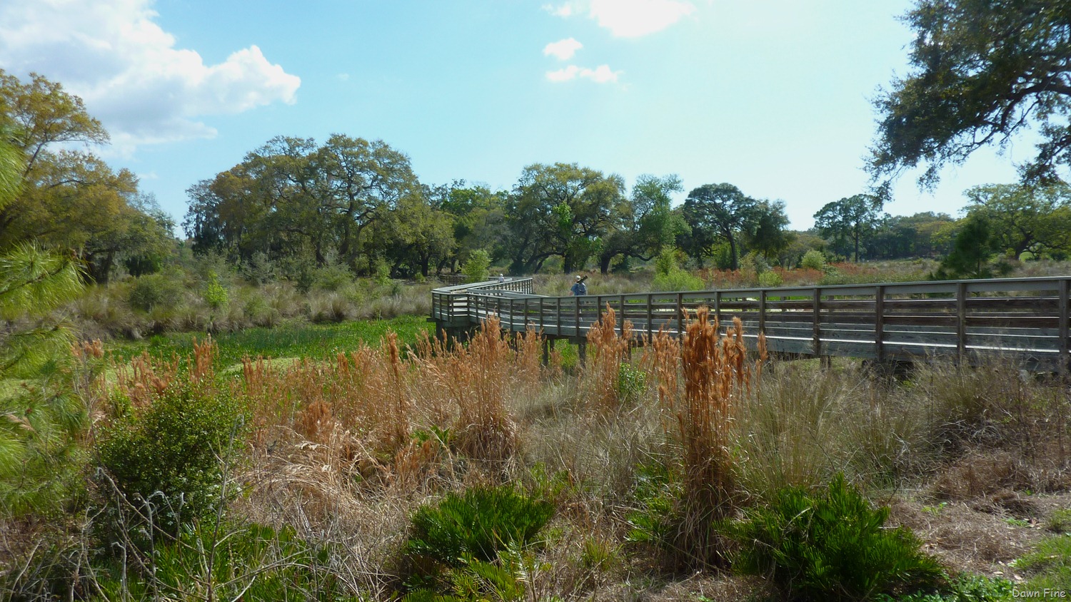 [Kapock%2520park%2520Clearwater_005%255B6%255D.jpg]
