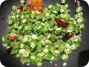 IMG_5452 IMG_5452