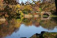 IMG_7105.JPG