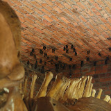 Some bats hanging out in the information center