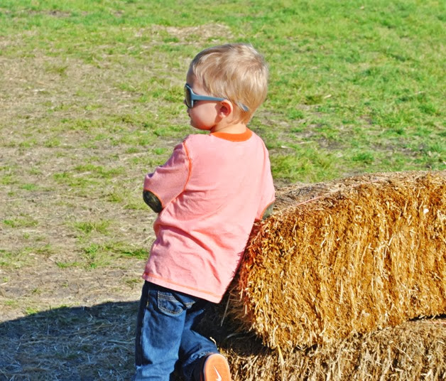DSC_0045 DSC_0045