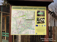 dsc06996.jpg