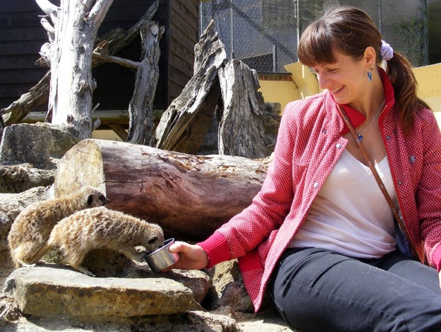 [Serena%2520feeding%2520Meerkats%2520DSCF4127%255B7%255D.jpg]