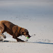_MG_7038.jpg