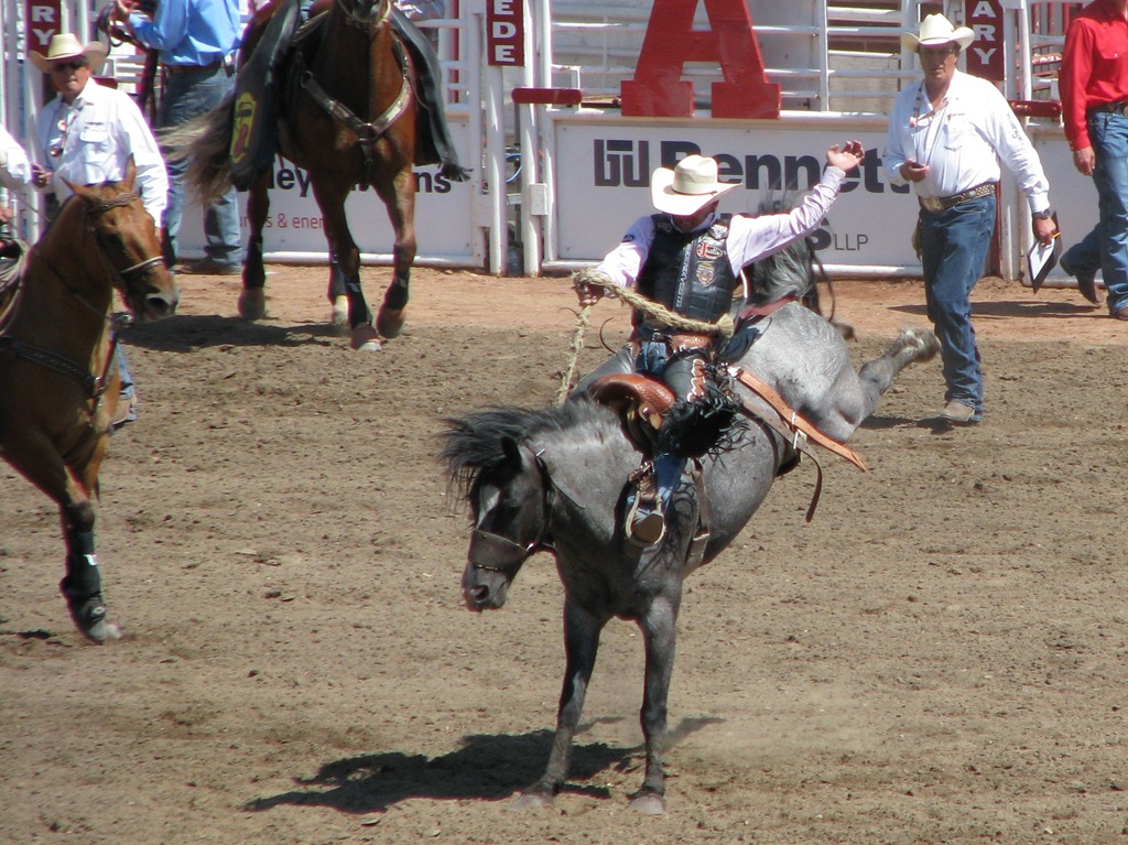 [9450%2520Alberta%2520Calgary%2520-%2520Calgary%2520Stampede%2520100th%2520Anniversary%2520-%2520Stampede%2520Grandstand%2520-%2520Calgary%2520Stampede%2520Saddle%2520Bronc%2520Championship%255B3%255D.jpg]