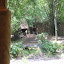 Florida08 101.jpg
