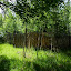 vadasparklovarda13ufo.jpg
