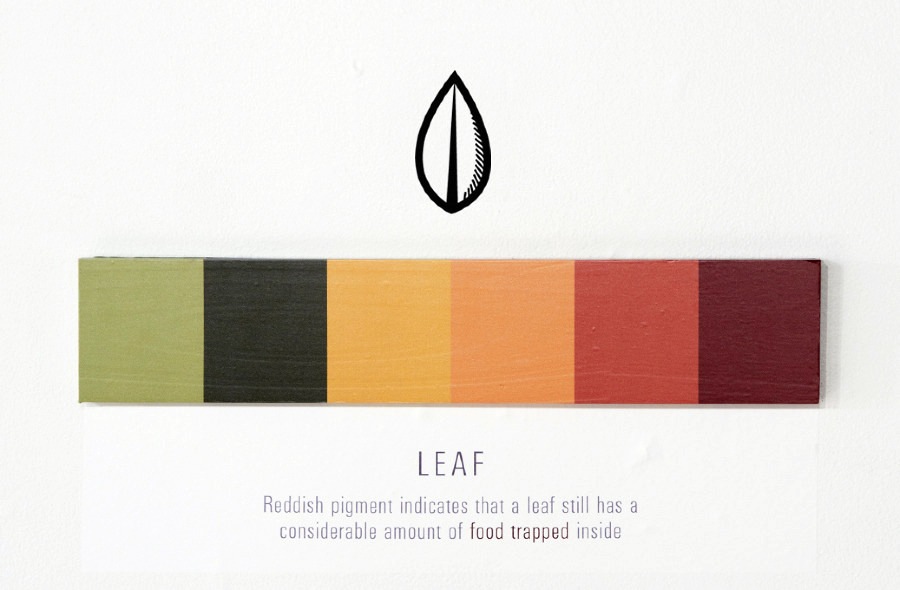 [Leaf12.jpg]