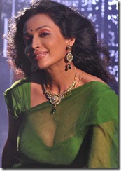 Aakasam Lo Sagam Actress Asha Saini Hot Saree Stills
