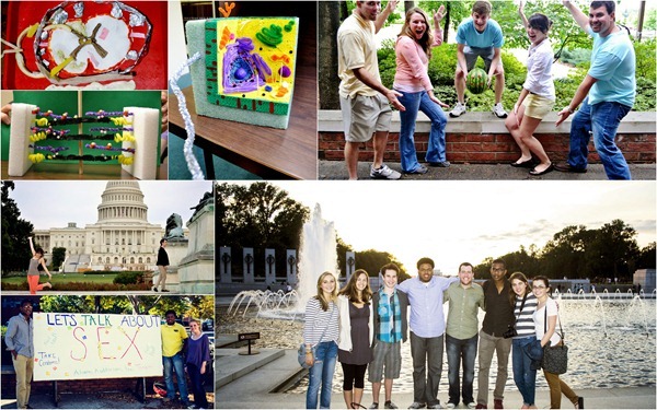 brownie diaries: 2012 highlights.