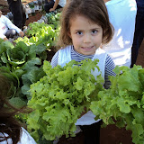 DSC02753.JPG
