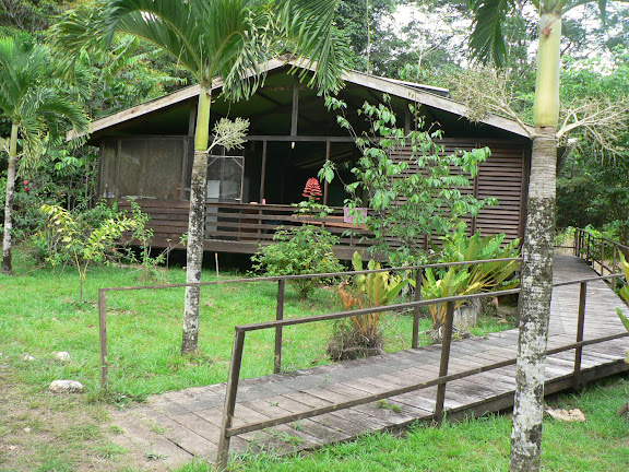 Amazone Nature Lodge, Montagne de Kaw. 18 novembre 2011. Photo : P. Fonteyne