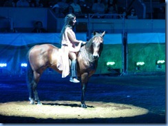 9667 Alberta Calgary Stampede 100th Anniversary - ENMAX Corral Show Tails - Liberte a bay