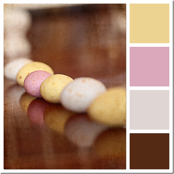 Easter eggs in colour board with texture