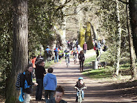 DSCF8685.JPG