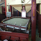 coffee tour