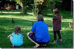aliandsadi07292011