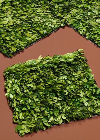 [boxwood%2520mat%255B4%255D.jpg]