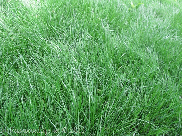 IMG_2586 IMG_2586