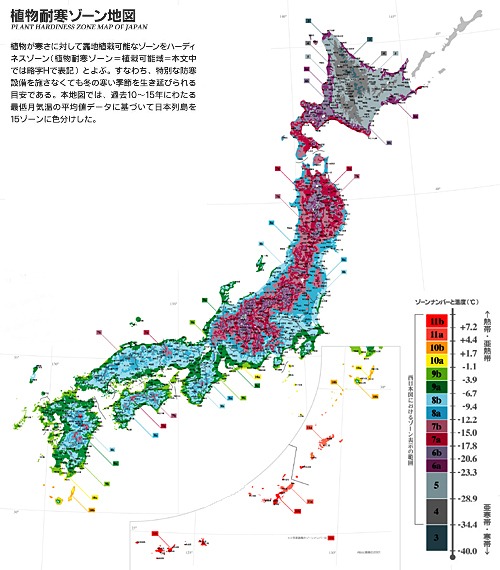 [japanganz%255B3%255D.jpg]