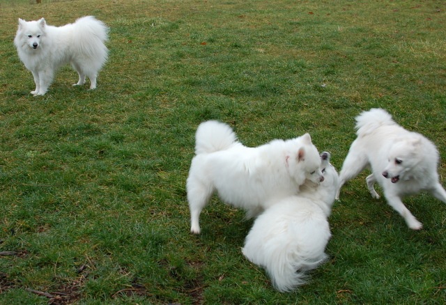 [DSC_5361%255B4%255D.jpg]