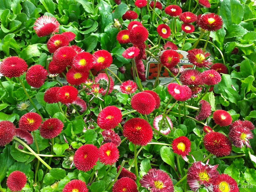 [20140413_111608%255B17%255D.jpg]