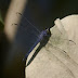 P1080180