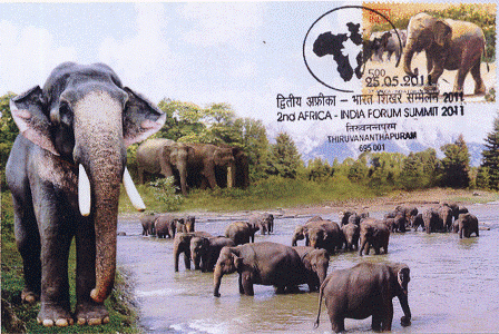 [MC%2520ELEPHANT%25201%255B7%255D.gif]