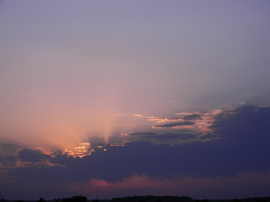 DSCN2083