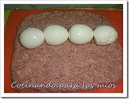 P1030057 P1030057