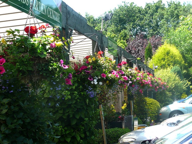 Garden Centre