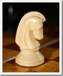 Chess knight. Photo: Petr Novák, Wikipedia