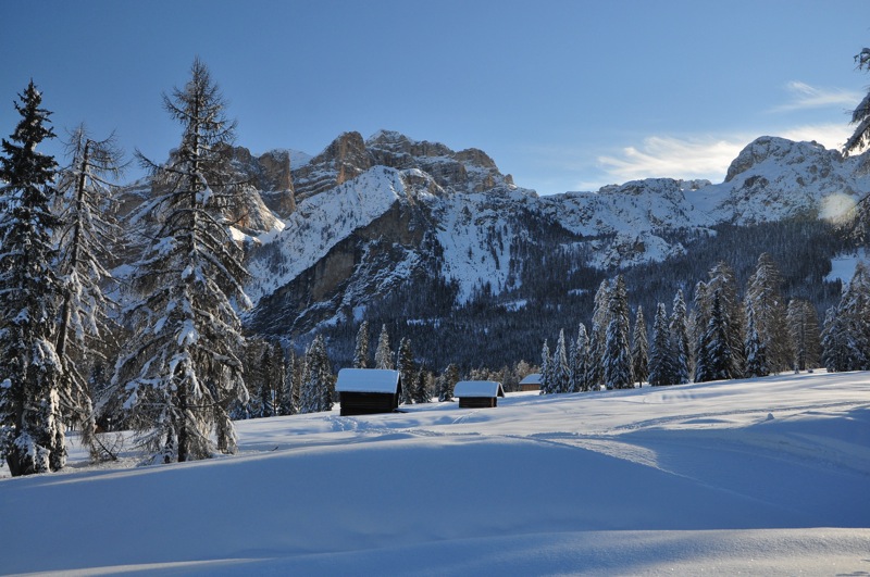 DSC_5978.JPG DSC 5978