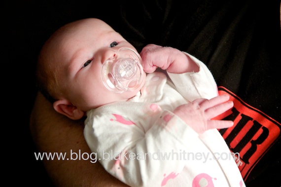 IMG_3800.jpg IMG 3800