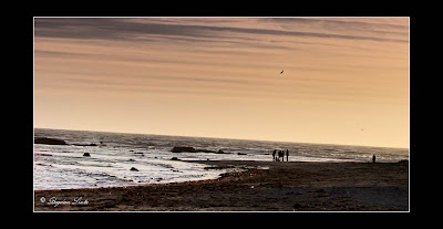 20110403_Half Moon Bay_IMG_6598-Edit.jpg