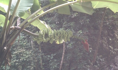 IMAG0563.jpg IMAG0563
