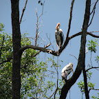IMG_2521.JPG