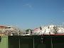 2-29-12010.jpg