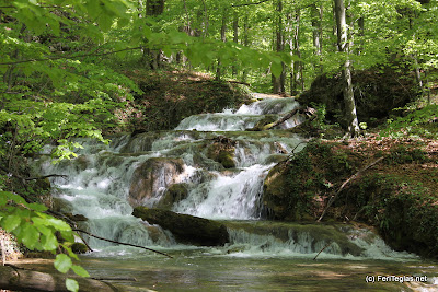 beautiful waterfall landscape during the spring