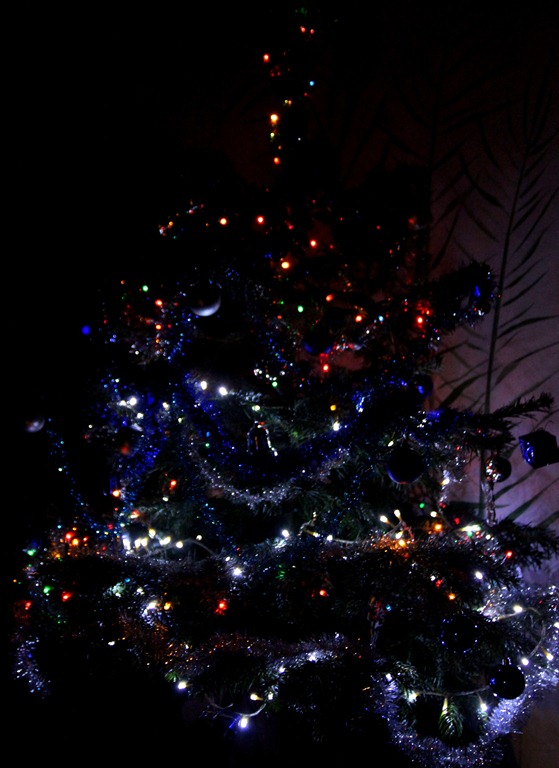 [IMG_6461%255B5%255D.jpg]