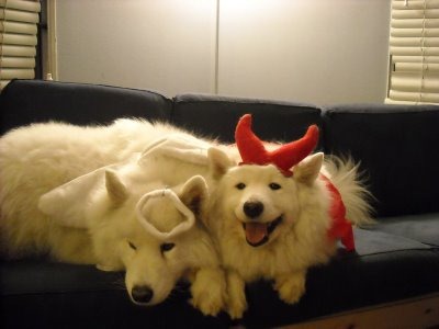 [Devil-and-Angel-Dogs3.jpg]