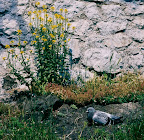 film10.10_(13_of_17).jpg