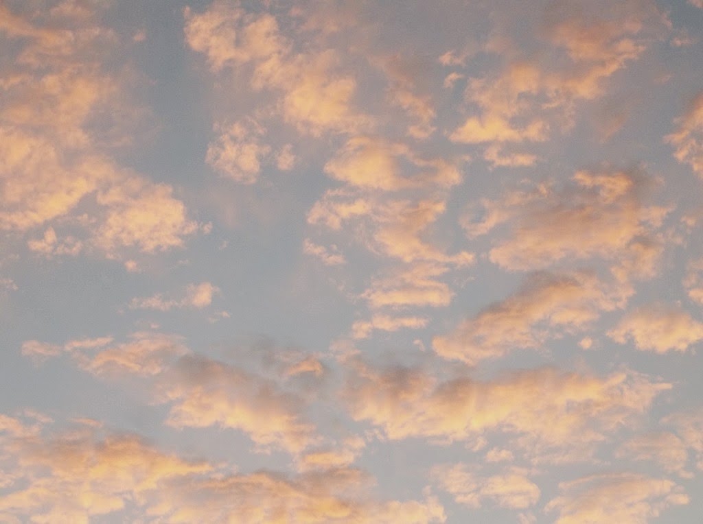 [100_1017%255B4%255D.jpg]