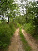mimo wszystko Photo