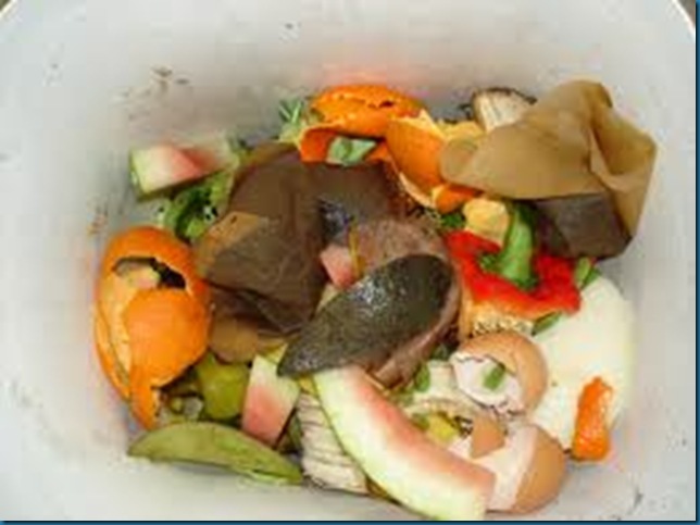 kitchen waste with eggs kitchen waste with eggs