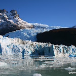 IMG_8795.JPG